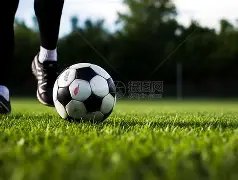 诺维奇再现,昔日辉煌,挑战历史战,巅峰国际官网,巅峰国际品牌,巅峰国际精彩,巅峰国际