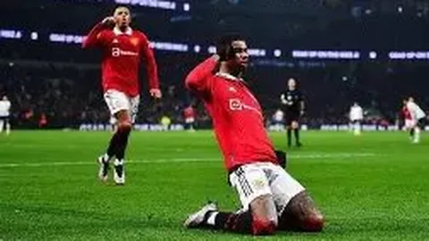 巅峰国际 产品 101332 xwl