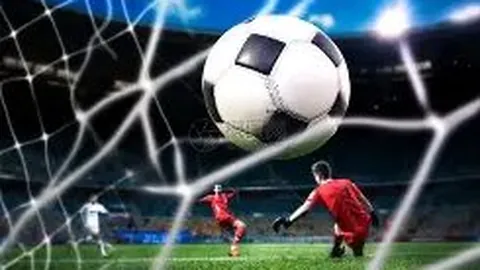 巅峰国际 产品 101354 w5n